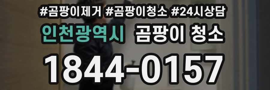 인천광역시 곰팡이 청소