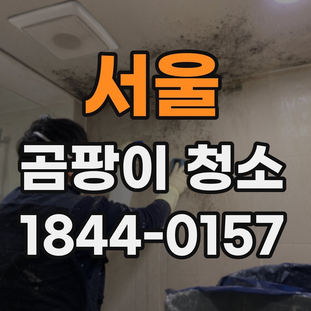 서울 곰팡이 청소 습기 흔적과 오래된 얼룩을 나누는 기준