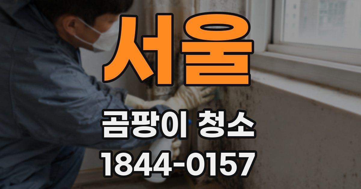 서울 곰팡이 청소