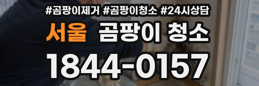 서울 곰팡이 청소
