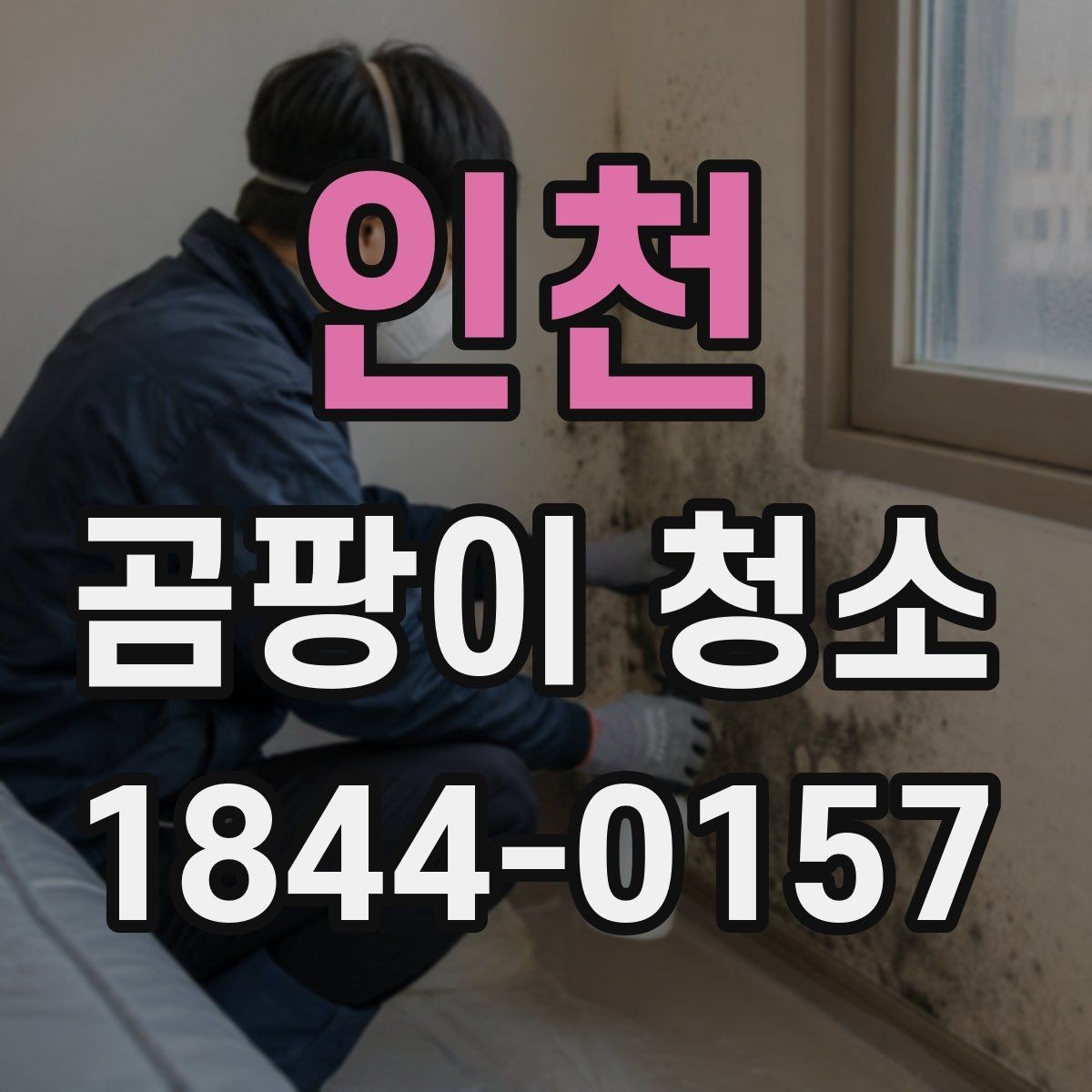 인천 곰팡이 청소 오염 정도에 따라 달라지는 작업 방식