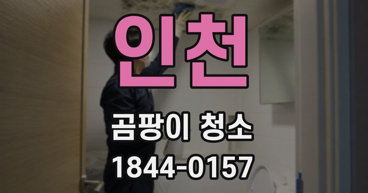 인천 곰팡이 청소