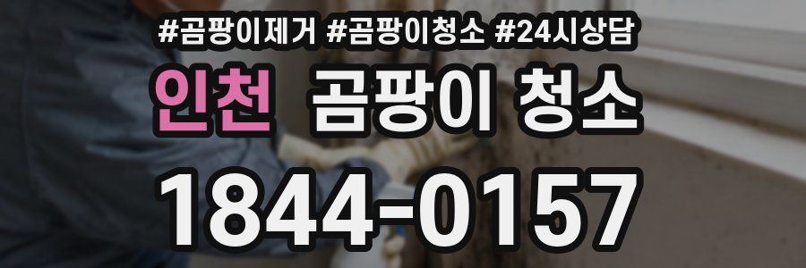 인천 곰팡이 청소