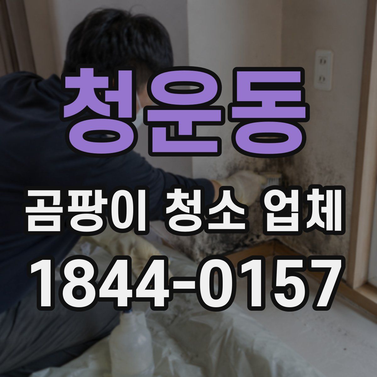 청운동 곰팡이 청소 업체