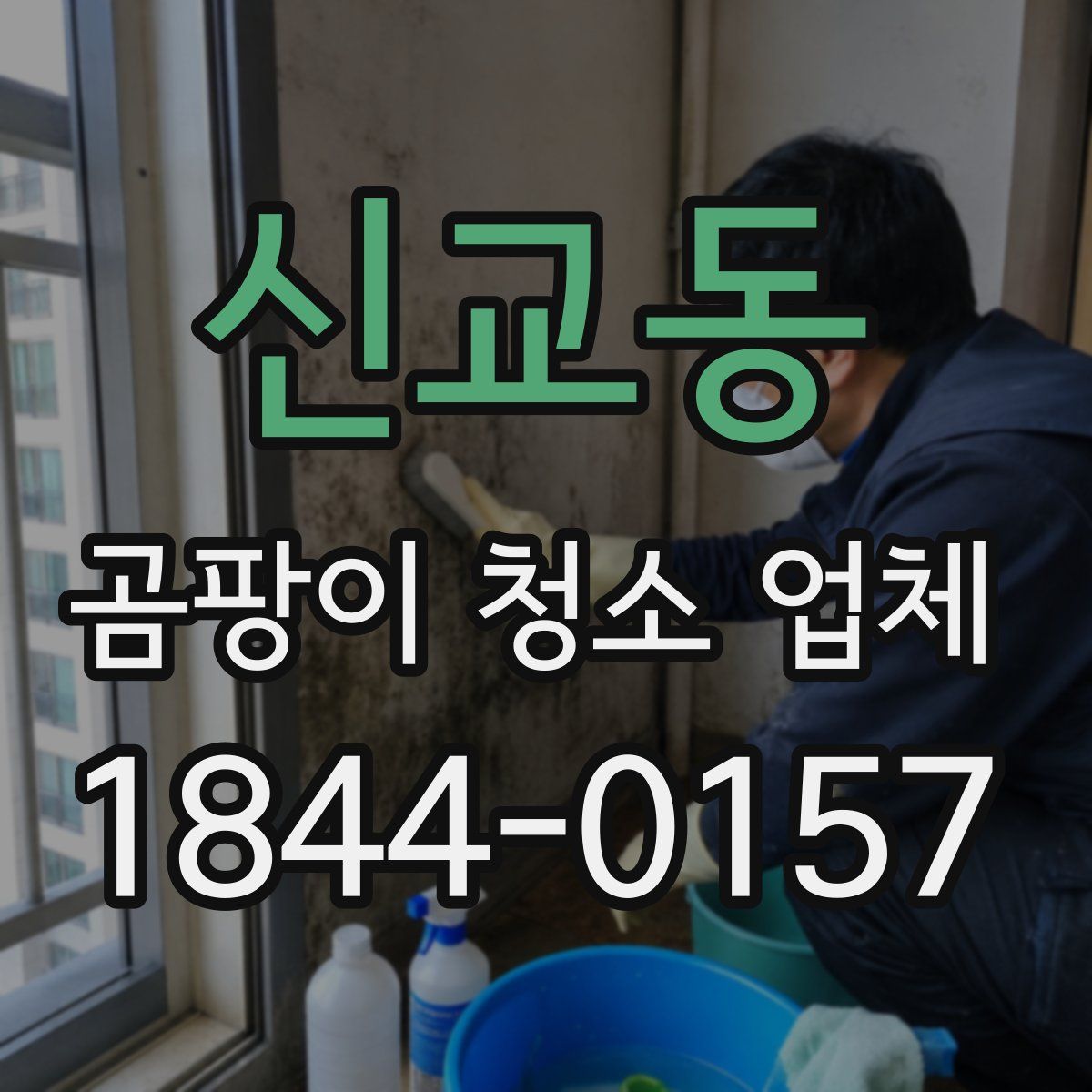 신교동 곰팡이 청소 업체
