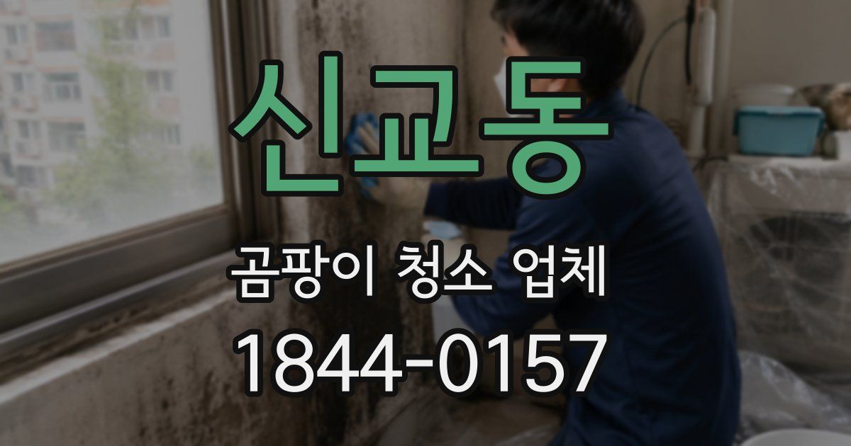 신교동 곰팡이 청소 업체