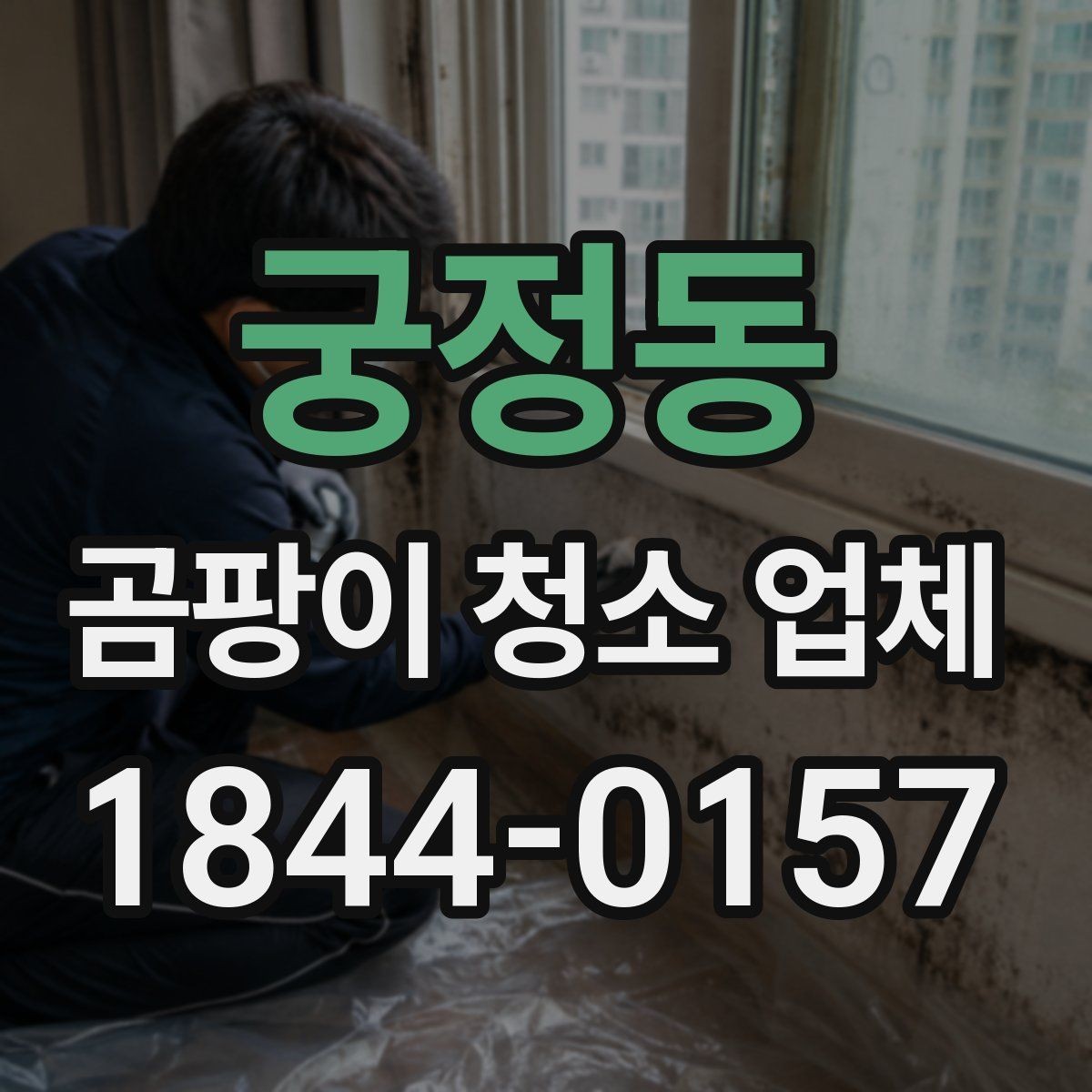 궁정동 곰팡이 청소 업체 방·욕실·주방별 맞춤 방식 정리
