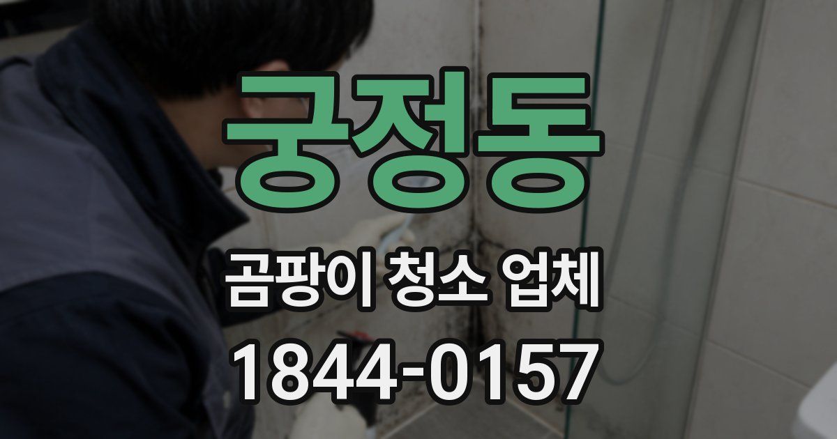 궁정동 곰팡이 청소 업체