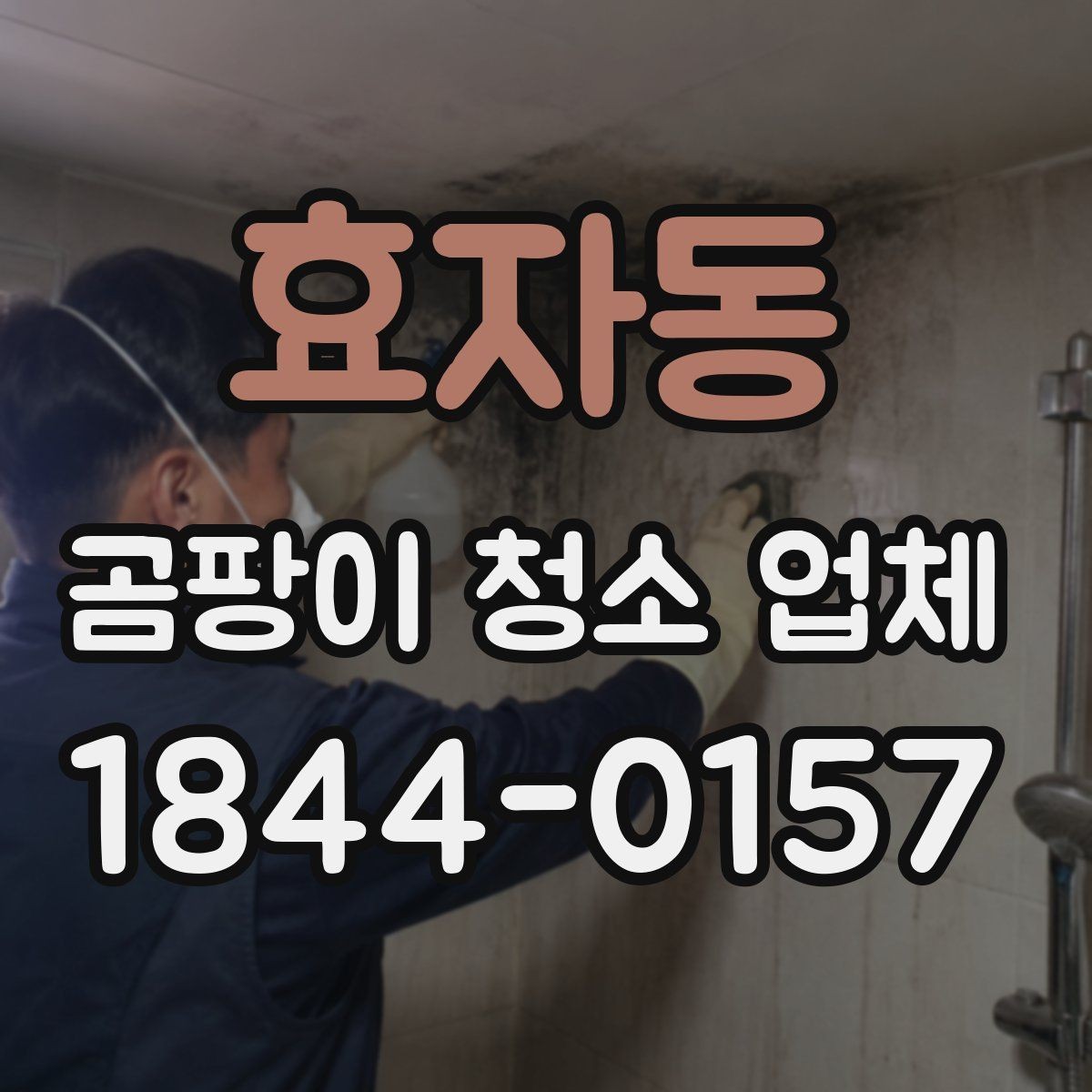 효자동 곰팡이 청소 업체 방과 거실에 따라 달라지는 관리 방식