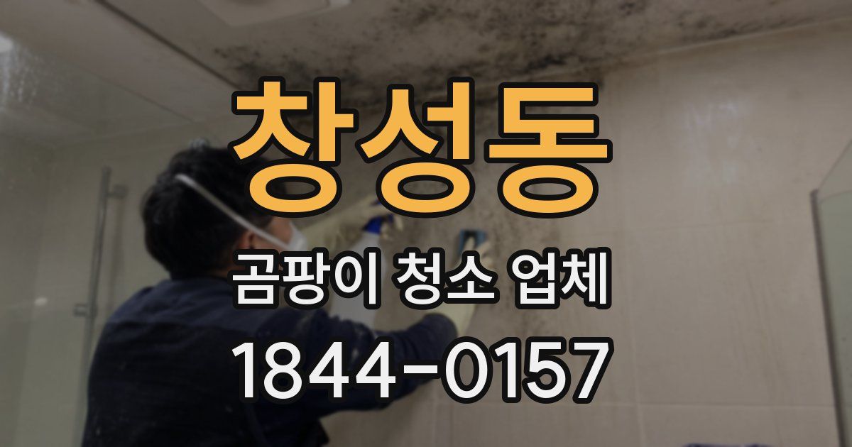 창성동 곰팡이 청소 업체