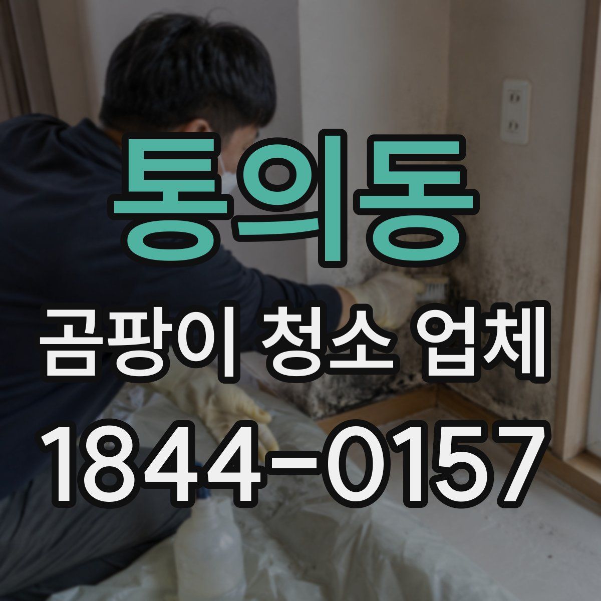 통의동 곰팡이 청소 업체