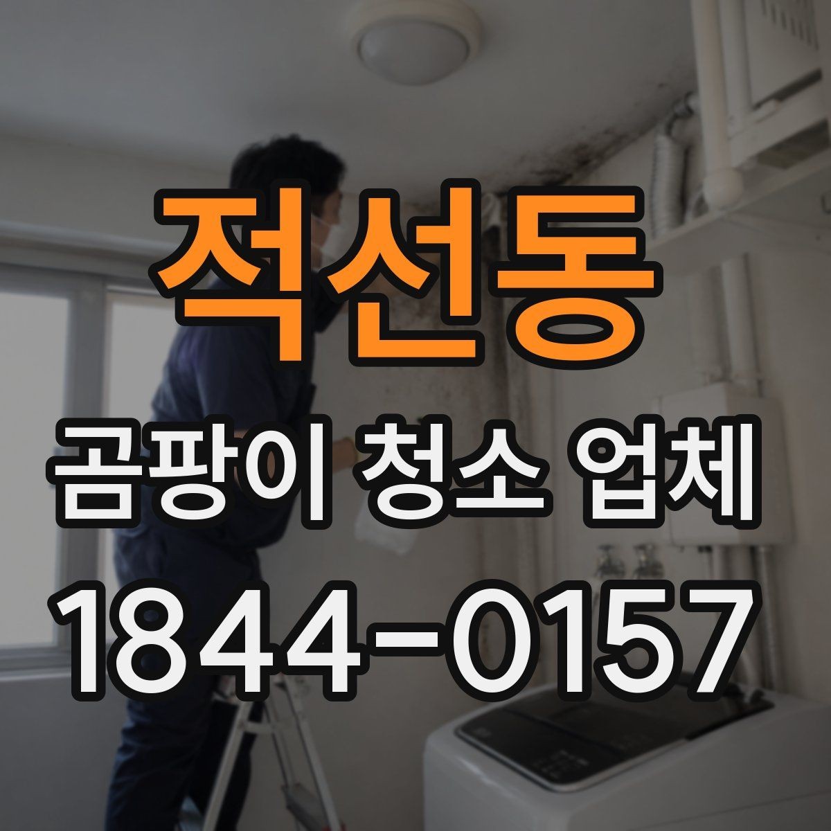 적선동 곰팡이 청소 업체 집주인 입장에서 봐야 할 복구 항목