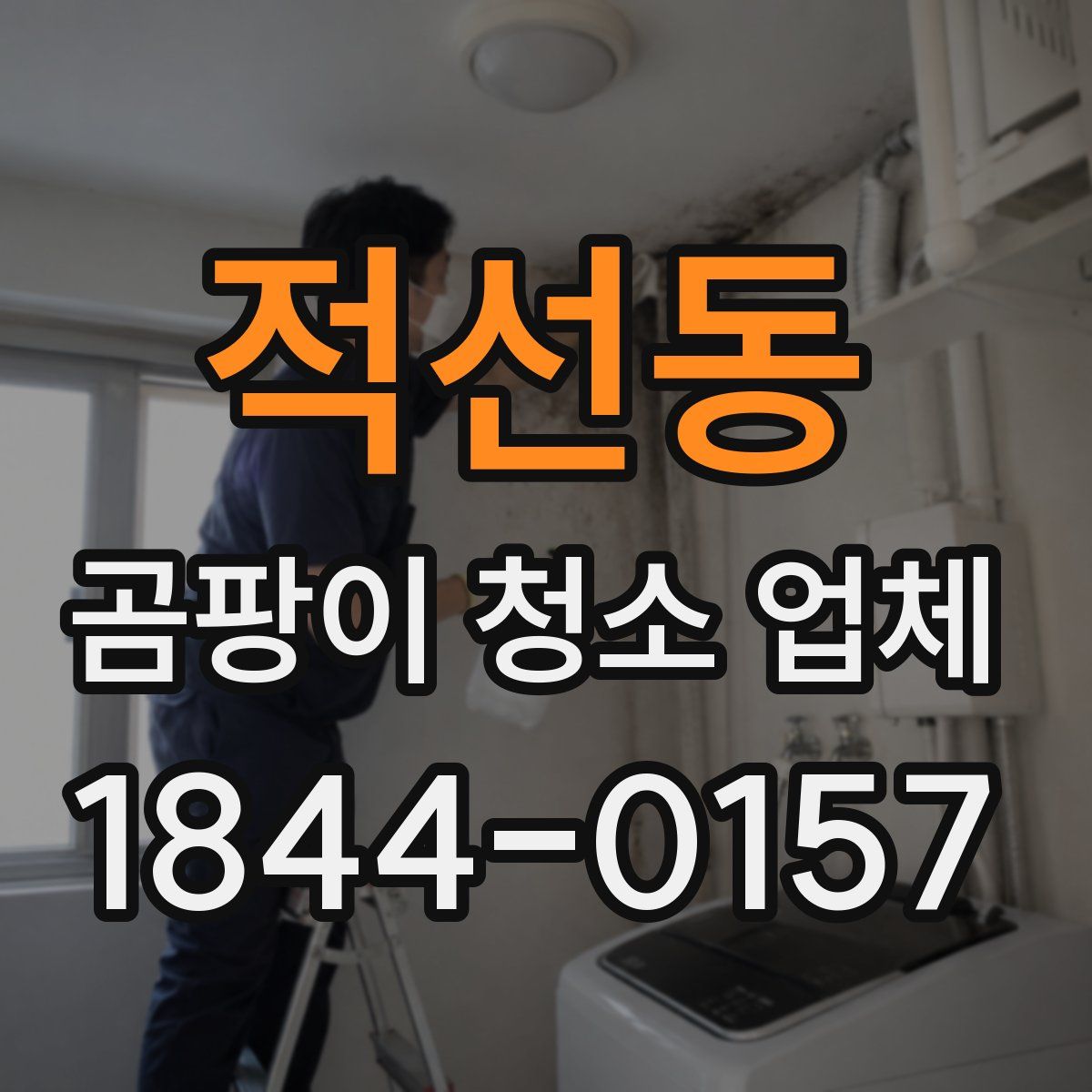 적선동 곰팡이 청소 업체