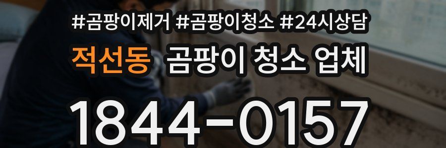 적선동 곰팡이 청소 업체