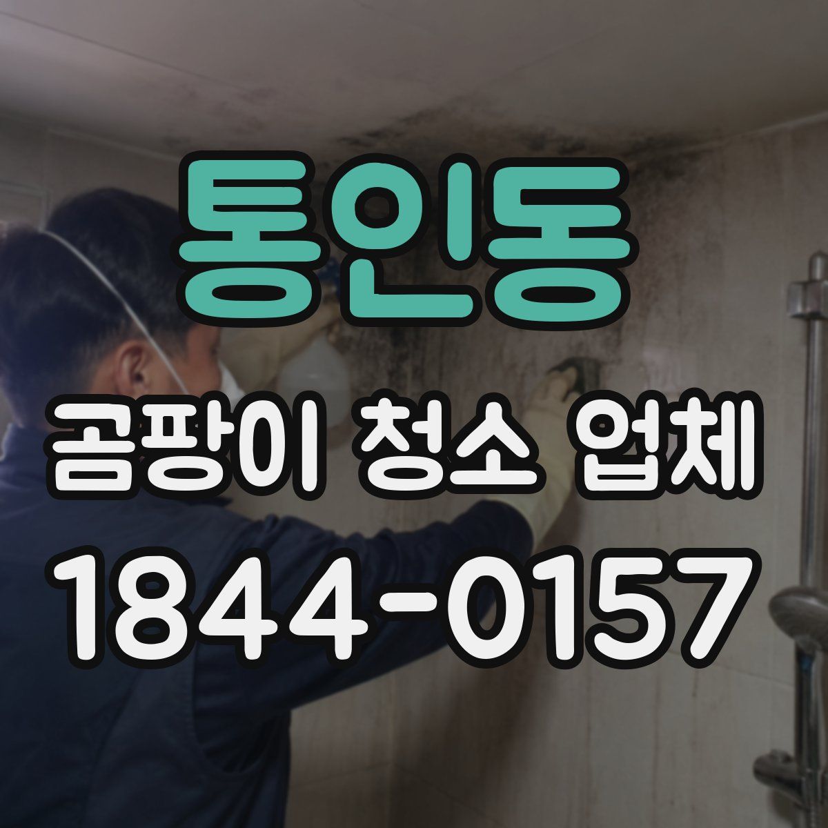 통인동 곰팡이 청소 업체