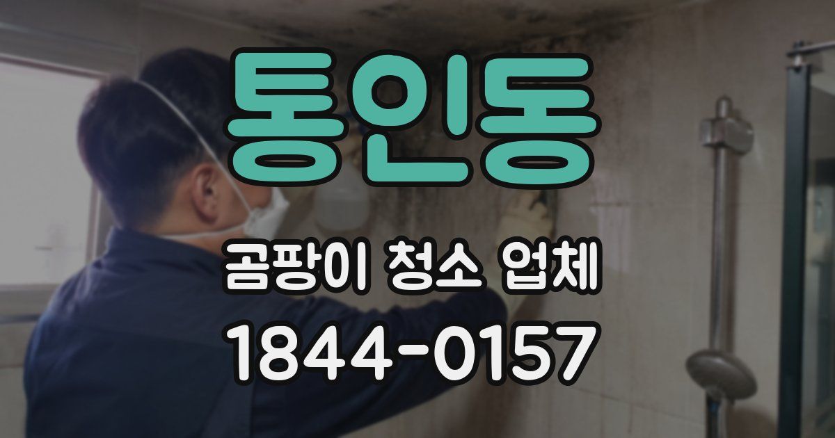 통인동 곰팡이 청소 업체