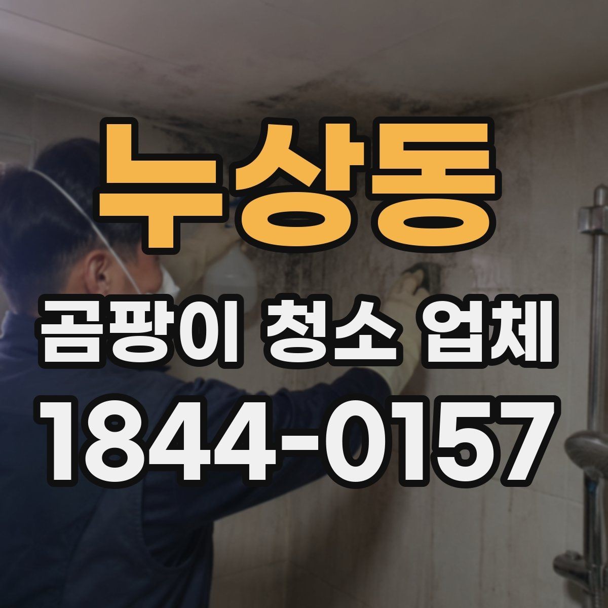 누상동 곰팡이 청소 업체 가구와 커튼 오염이 있을 때 처리 순서