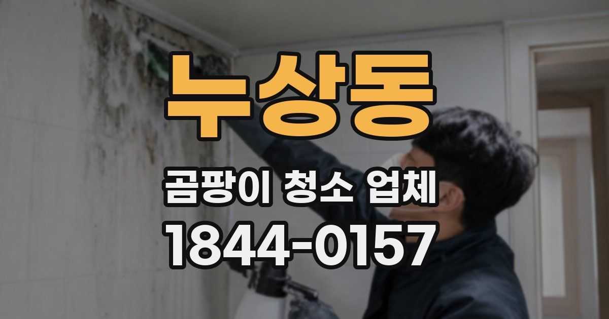 누상동 곰팡이 청소 업체