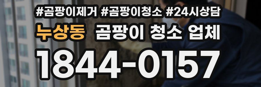 누상동 곰팡이 청소 업체
