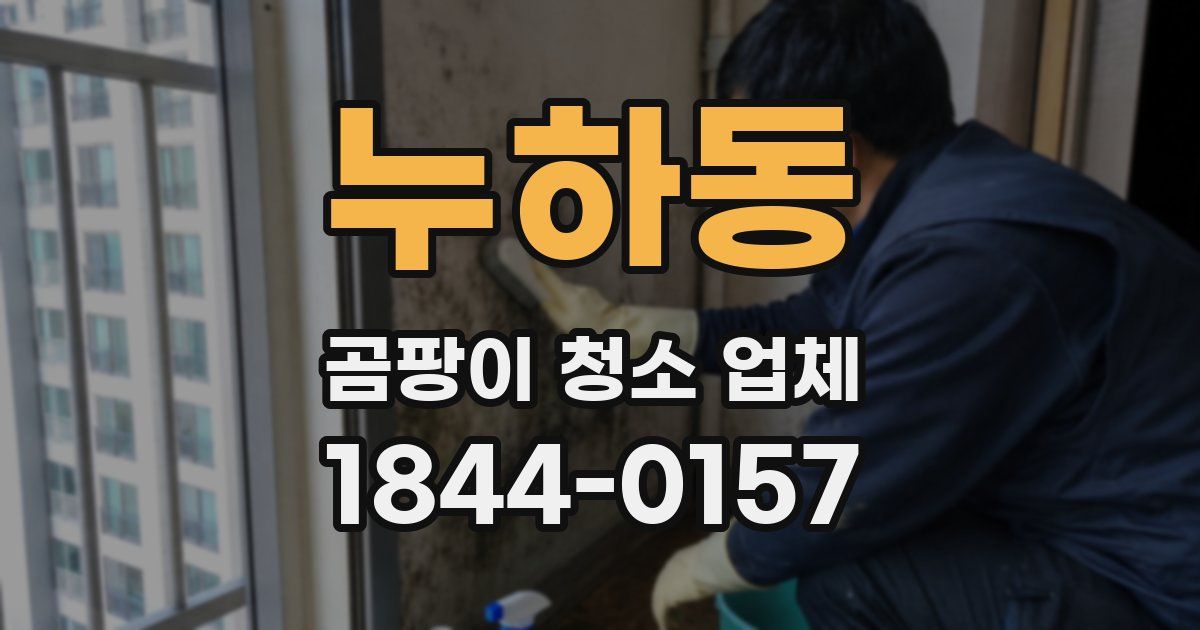 누하동 곰팡이 청소 업체