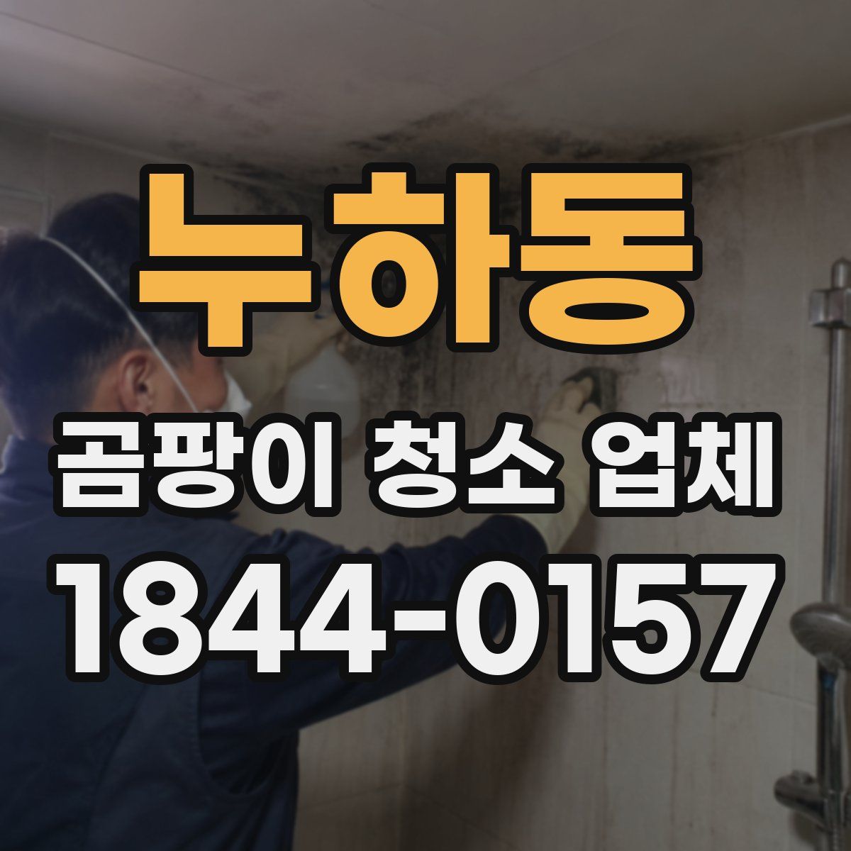 누하동 곰팡이 청소 업체