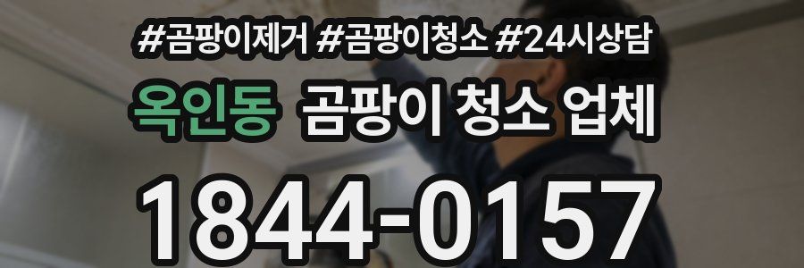 옥인동 곰팡이 청소 업체