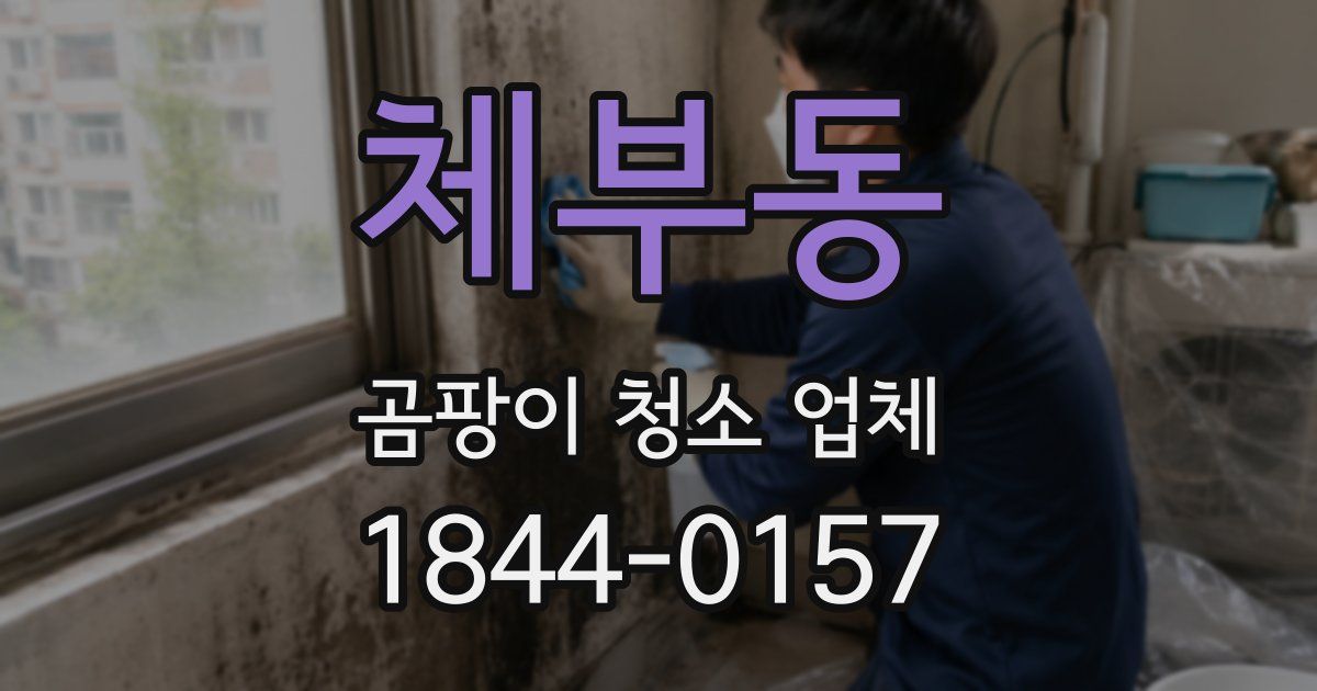 체부동 곰팡이 청소 업체