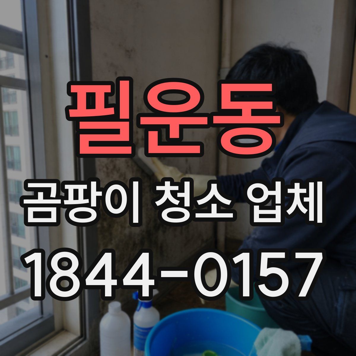 필운동 곰팡이 청소 업체