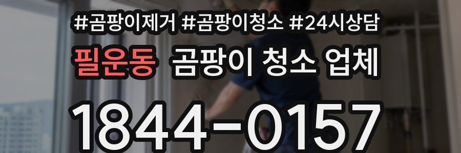 필운동 곰팡이 청소 업체
