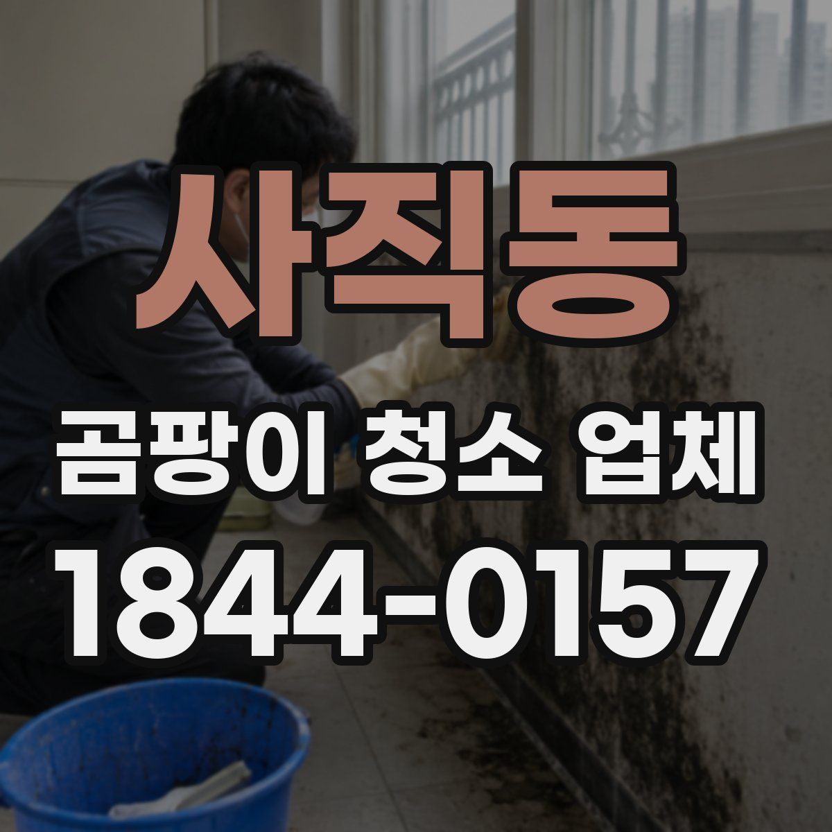 사직동 곰팡이 청소 업체
