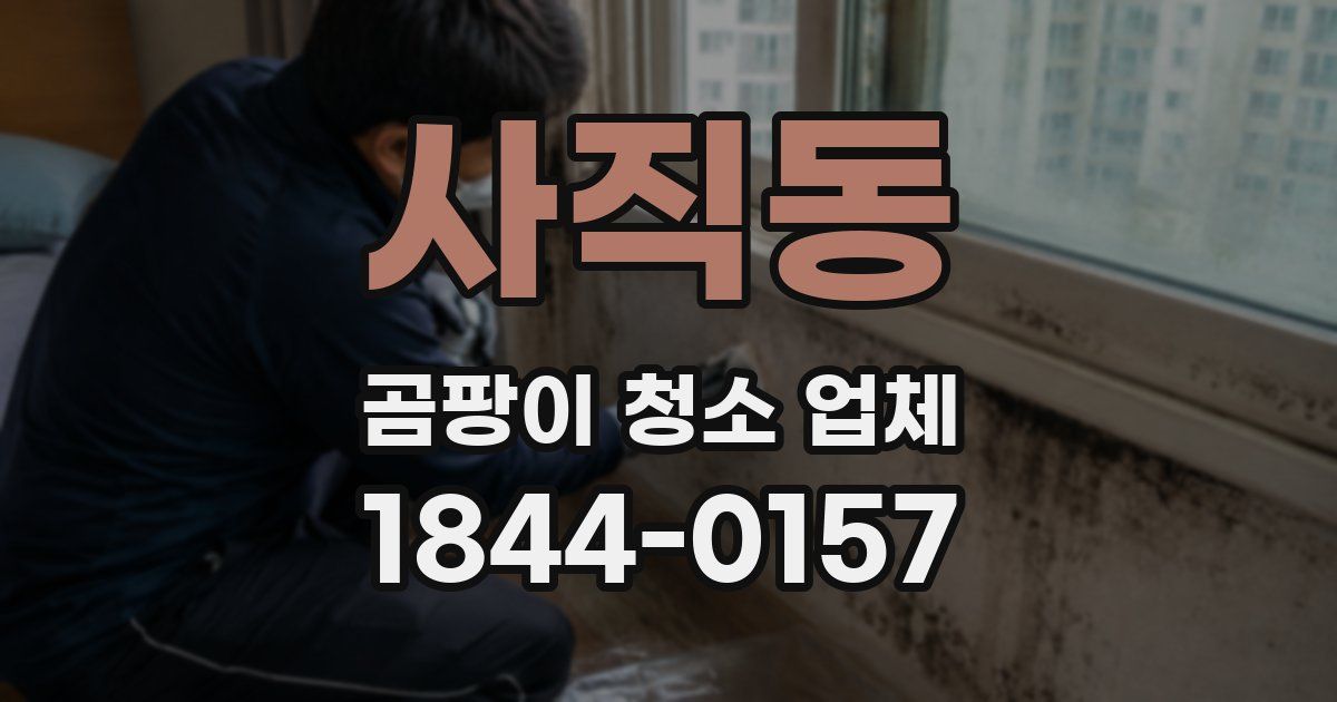 사직동 곰팡이 청소 업체