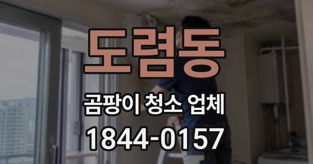 도렴동 곰팡이 청소 업체