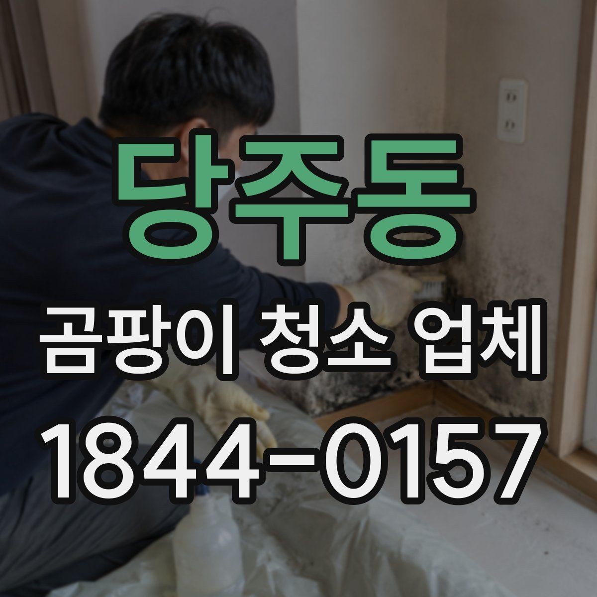 당주동 곰팡이 청소 업체 곰팡이 번짐을 막는 작업 순서