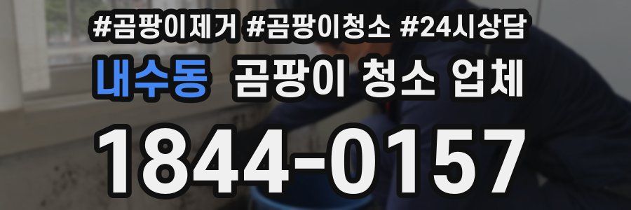 내수동 곰팡이 청소 업체