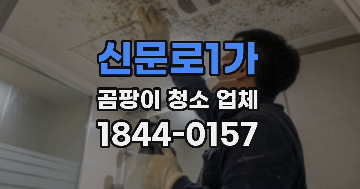 신문로1가 곰팡이 청소 업체