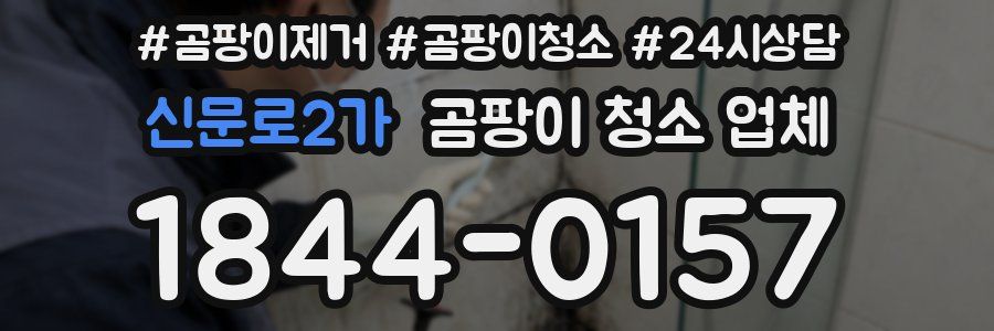 신문로2가 곰팡이 청소 업체