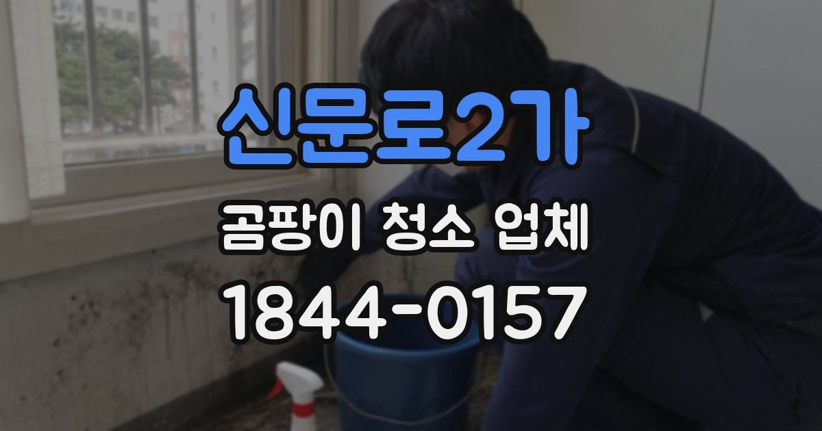 신문로2가 곰팡이 청소 업체
