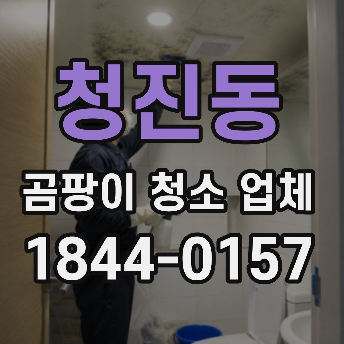 청진동 곰팡이 청소 업체 청소 장비 선택에 따른 처리 차이