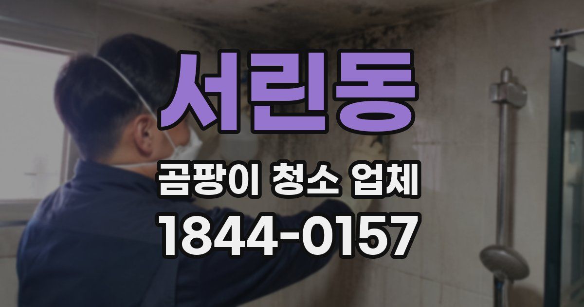 서린동 곰팡이 청소 업체