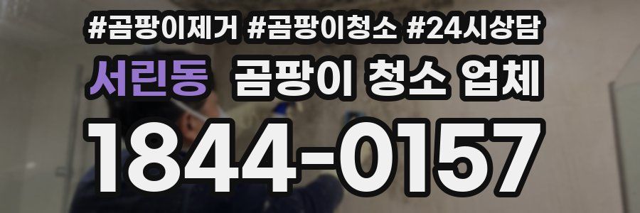 서린동 곰팡이 청소 업체
