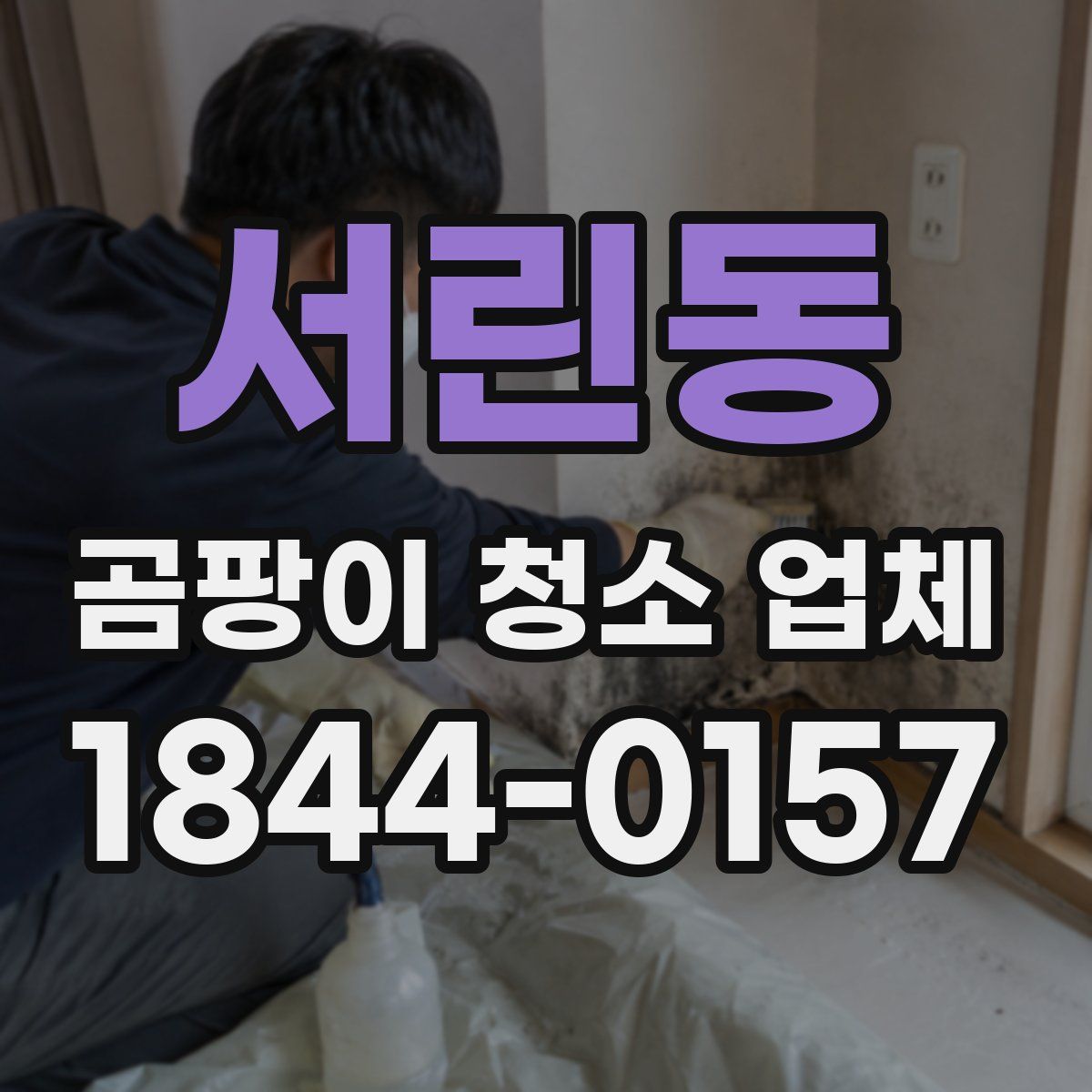 서린동 곰팡이 청소 업체
