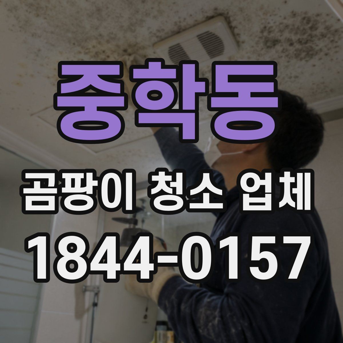 중학동 곰팡이 청소 업체 현장 진단으로 확인하는 오염 깊이