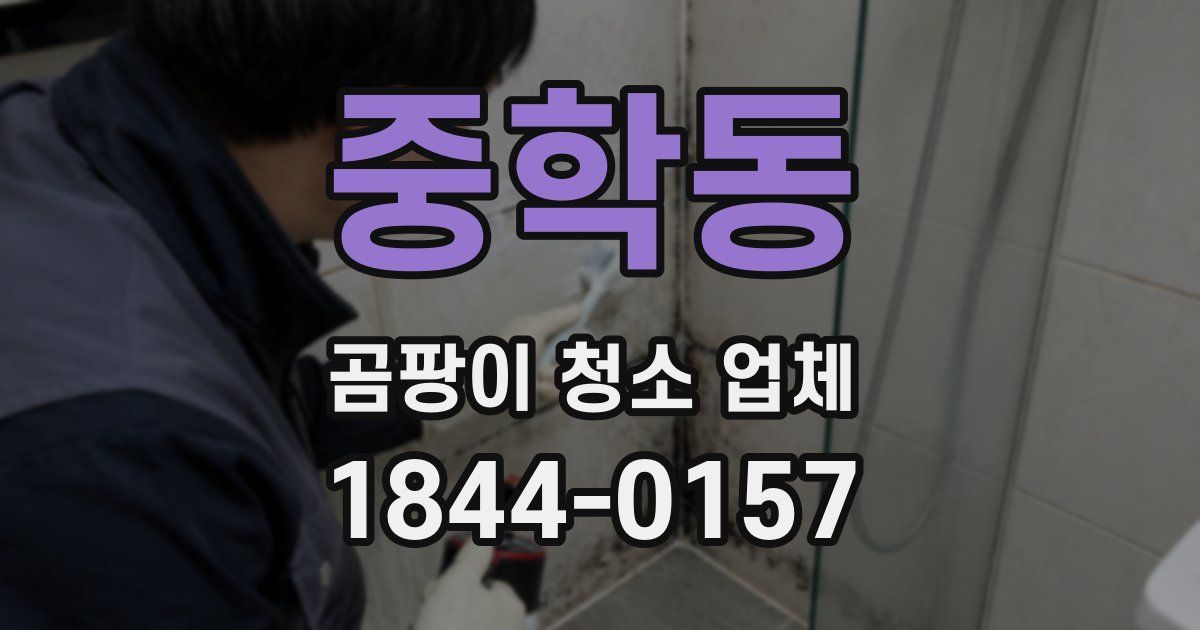 중학동 곰팡이 청소 업체