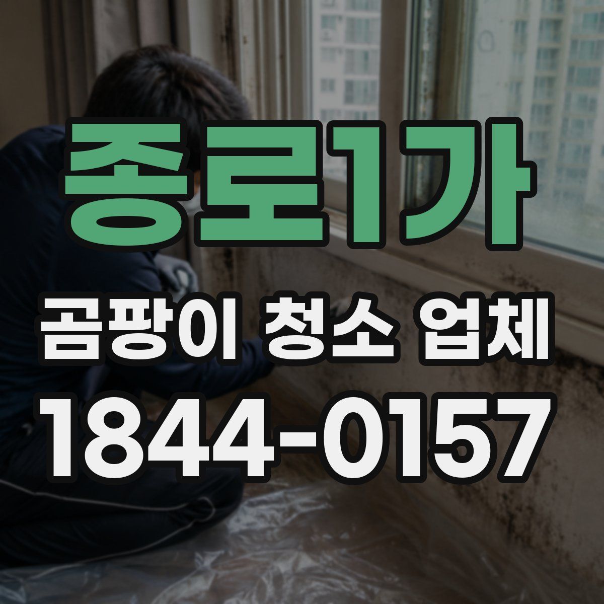 종로1가 곰팡이 청소 업체