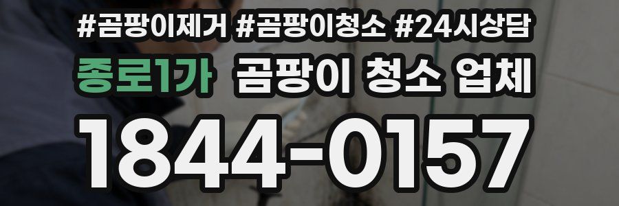 종로1가 곰팡이 청소 업체