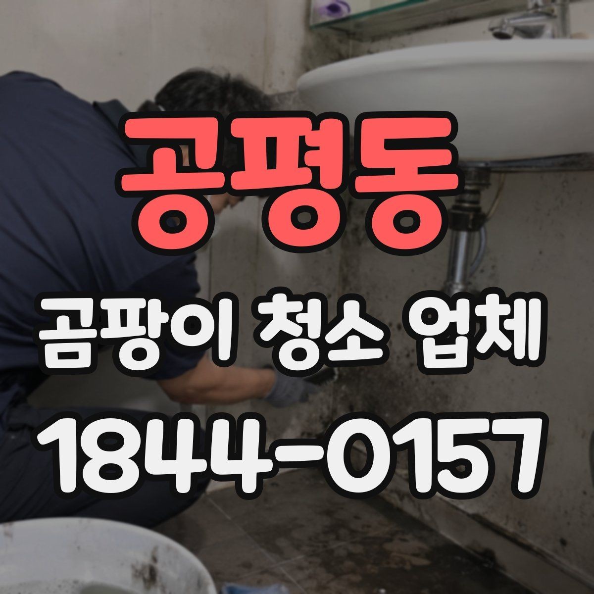 공평동 곰팡이 청소 업체 견적에 포함되는 작업 범위 살펴보기