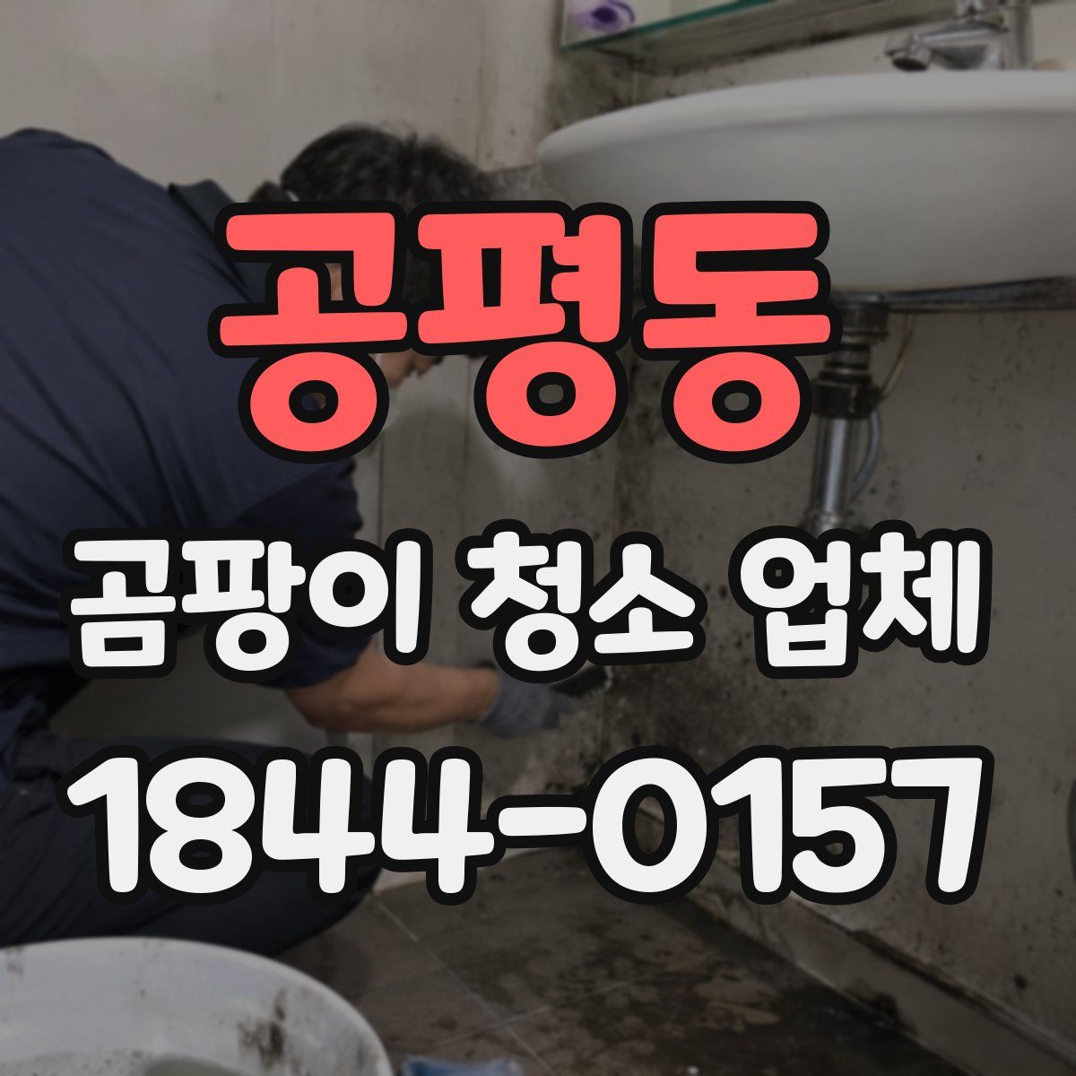 공평동 곰팡이 청소 업체