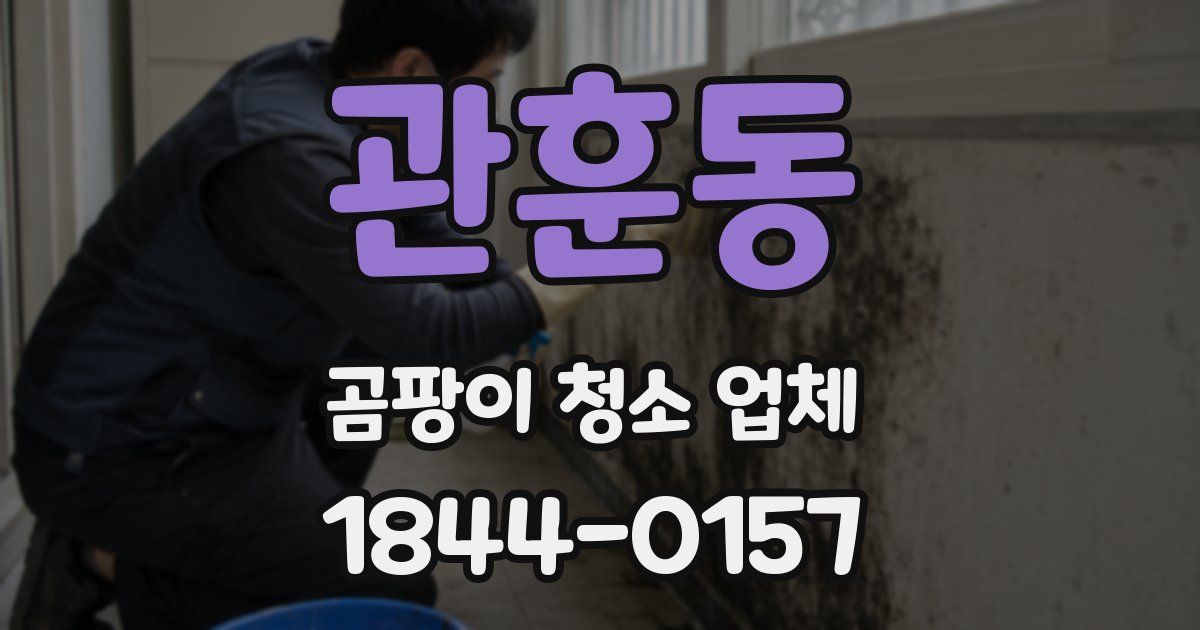 관훈동 곰팡이 청소 업체