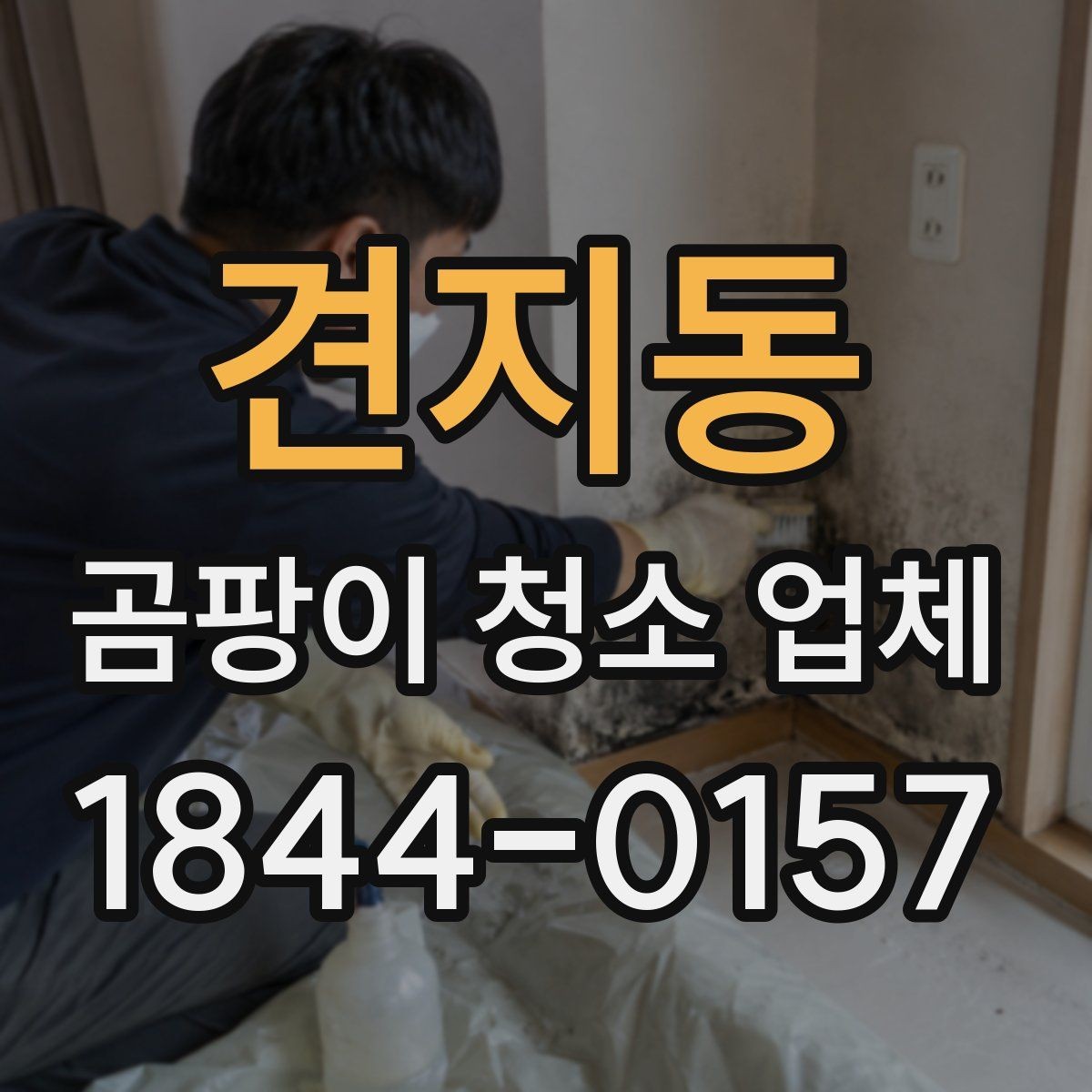 견지동 곰팡이 청소 업체 현장 진단으로 확인하는 오염 깊이