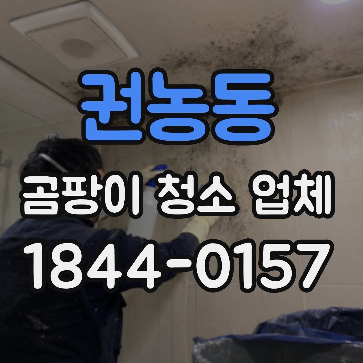 권농동 곰팡이 청소 업체 마감 정리까지 포함된 작업 범위 정리